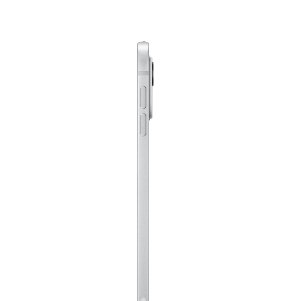 iPad Pro 11" M4 Wi-Fi + Cellular 256GB with Standard glass - Silver - MVW23HC/A kaina ir informacija | Planšetiniai kompiuteriai | pigu.lt