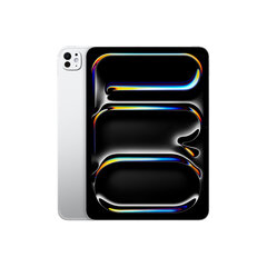 iPad Pro 11" M4 Wi-Fi + Cellular 256GB with Standard glass - Silver - MVW23HC/A цена и информация | Планшеты | pigu.lt