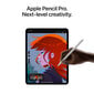iPad Pro 11" M4 Wi-Fi + Cellular 256GB with Standard glass - Space Black - MVW13HC/A kaina ir informacija | Planšetiniai kompiuteriai | pigu.lt
