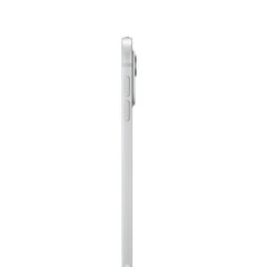 iPad Pro 11" M4 Wi-Fi + Cellular 512GB with Standard glass - Silver - MVW43HC/A цена и информация | Планшеты | pigu.lt