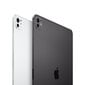 iPad Pro 11" M4 Wi-Fi + Cellular 1TB with Nano-texture Glass - Space Black - MWRP3HC/A цена и информация | Planšetiniai kompiuteriai | pigu.lt