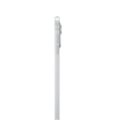 iPad Pro 11" M4 Wi-Fi + Cellular 2TB with Standard glass - Silver - MVW83HC/A цена и информация | Планшеты | pigu.lt