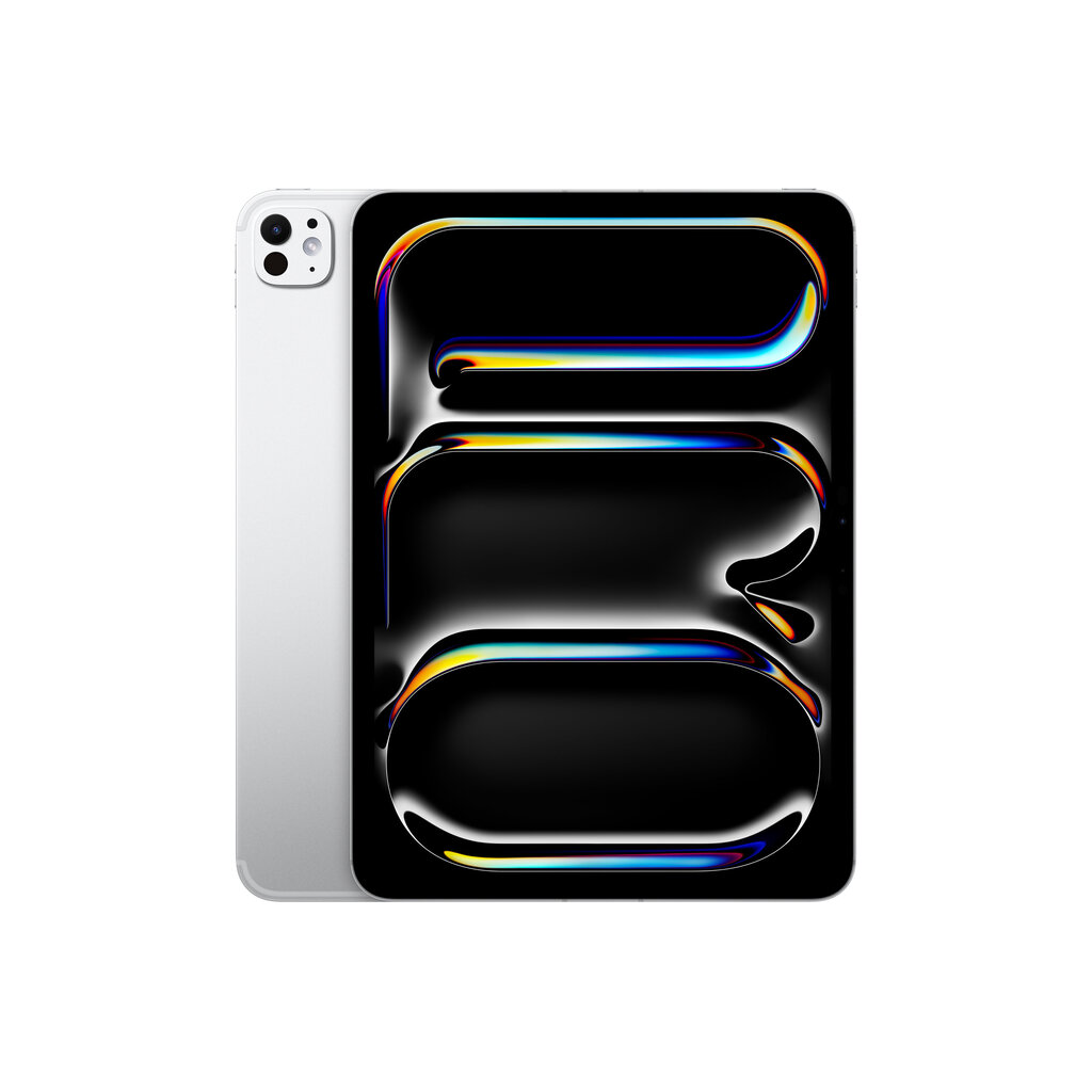 iPad Pro 11" M4 Wi-Fi + Cellular 2TB with Standard glass - Silver - MVW83HC/A kaina ir informacija | Planšetiniai kompiuteriai | pigu.lt