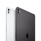iPad Pro 11" M4 Wi-Fi + Cellular 2TB with Standard glass - Space Black - MVW73HC/A цена и информация | Planšetiniai kompiuteriai | pigu.lt