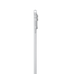 iPad Pro 13" M4 Wi-Fi 512GB with Standard glass - Silver - MVX53HC/A kaina ir informacija | Planšetiniai kompiuteriai | pigu.lt