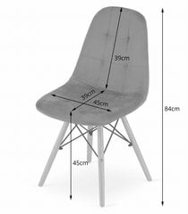 2-ių kėdžių komplektas Oskar Dumo, rožinis kaina ir informacija | Virtuvės ir valgomojo kėdės | pigu.lt