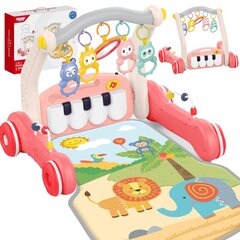 Игровой коврик и горка 2 в 1 со звуковыми эффектами, розовый, Woopie Baby цена и информация | Игрушки для малышей | pigu.lt