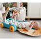 Žaislas kilimėlis ir stumdukas su garso efektais 2in1 Woopie Baby kaina ir informacija | Žaislai kūdikiams | pigu.lt
