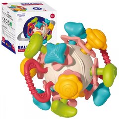 Сенсорная игрушка 4 в 1 Woopie Baby цена и информация | Игрушки для малышей | pigu.lt