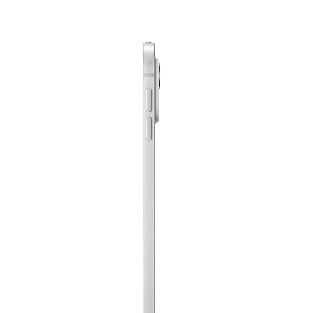 iPad Pro 13" M4 Wi-Fi + Cellular 256GB with Standard glass - Silver - MVXT3HC/A kaina ir informacija | Planšetiniai kompiuteriai | pigu.lt