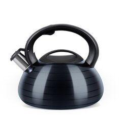 Le Creuset virdulys, juodas цена и информация | Чайники, кофейники | pigu.lt