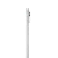 iPad Pro 13" M4 Wi-Fi + Cellular 1TB with Nano-texture Glass - Silver - MWT03HC/A kaina ir informacija | Planšetiniai kompiuteriai | pigu.lt