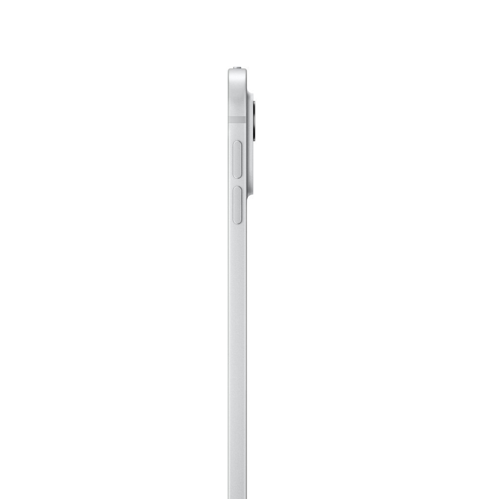 iPad Pro 13" M4 Wi-Fi + Cellular 2TB with Standard glass - Silver - MVY03HC/A цена и информация | Planšetiniai kompiuteriai | pigu.lt