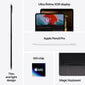 iPad Pro 13" M4 Wi-Fi + Cellular 2TB with Nano-texture Glass - Silver - MWT23HC/A цена и информация | Planšetiniai kompiuteriai | pigu.lt