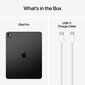 iPad Pro 13" M4 Wi-Fi 256GB with Standard glass - Space Black - MVX23HC/A цена и информация | Planšetiniai kompiuteriai | pigu.lt