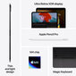 iPad Pro 13" M4 Wi-Fi 256GB with Standard glass - Space Black - MVX23HC/A цена и информация | Planšetiniai kompiuteriai | pigu.lt