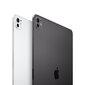 iPad Pro 13" M4 Wi-Fi 2TB with Standard glass - Space Black - MVX83HC/A kaina ir informacija | Planšetiniai kompiuteriai | pigu.lt