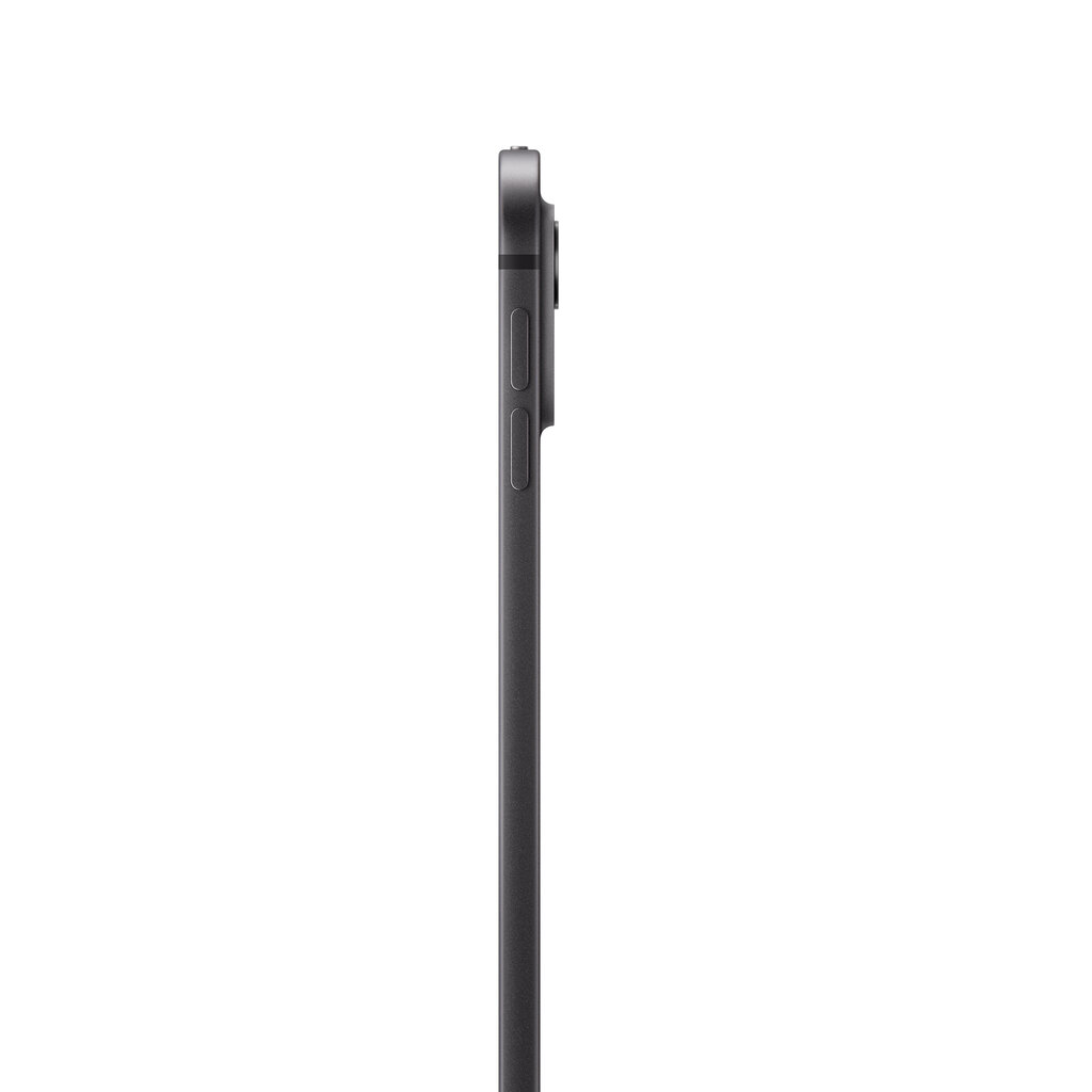 iPad Pro 13" M4 Wi-Fi + Cellular 2TB with Standard glass - Space Black - MVXY3HC/A kaina ir informacija | Planšetiniai kompiuteriai | pigu.lt