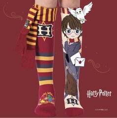 Цветные носки Harry Potter цена и информация | Носки, колготки для девочек | pigu.lt