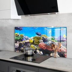 Apsauga nuo purslų stiklo plokštė Koralų rifas Raudonoji jūra, 100x50 cm, įvairių spalvų kaina ir informacija | Virtuvės baldų priedai | pigu.lt
