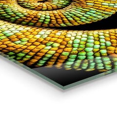 Apsauga nuo purslų stiklo plokštė Chameleono uodegos gamta, 100x50 cm, įvairių spalvų kaina ir informacija | Virtuvės baldų priedai | pigu.lt