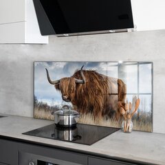 Apsauga nuo purslų stiklo plokštė Highland Boho karvė, 100x50 cm, įvairių spalvų цена и информация | Комплектующие для кухонной мебели | pigu.lt