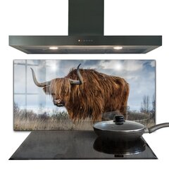 Apsauga nuo purslų stiklo plokštė Highland Boho karvė, 100x50 cm, įvairių spalvų цена и информация | Комплектующие для кухонной мебели | pigu.lt