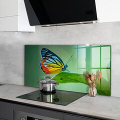 Apsauga nuo purslų stiklo plokštė Drugelis besiilsiantis ant lapo, 100x50 cm, įvairių spalvų kaina ir informacija | Virtuvės baldų priedai | pigu.lt