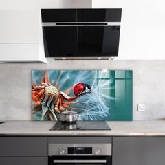 Apsauga nuo purslų stiklo plokštė Ladybug Raudonasis vabalas, 100x50 cm, įvairių spalvų kaina ir informacija | Virtuvės baldų priedai | pigu.lt