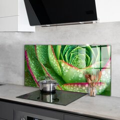 Apsauga nuo purslų stiklo plokštė Sultingas Skalnik žalias sodas, 100x50 cm, įvairių spalvų kaina ir informacija | Virtuvės baldų priedai | pigu.lt