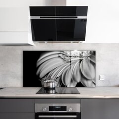 Apsauga nuo purslų stiklo plokštė Gerber juodai balta nuotrauka, 100x50 cm, įvairių spalvų цена и информация | Комплектующие для кухонной мебели | pigu.lt