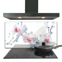 Apsauga nuo purslų stiklo plokštė Orchidėja apšlakstyta vandeniu, 100x50 cm, įvairių spalvų kaina ir informacija | Virtuvės baldų priedai | pigu.lt