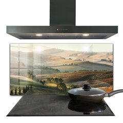 Apsauga nuo purslų stiklo plokštė Toskanos kraštovaizdis su vynuogynais, 100x50 cm, įvairių spalvų kaina ir informacija | Virtuvės baldų priedai | pigu.lt