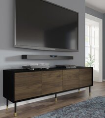 ТВ столик Homlando Sherwood, черный/коричневый цена и информация | Тумбы под телевизор | pigu.lt