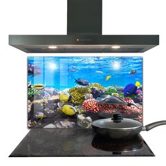 Apsauga nuo purslų stiklo plokštė Koralų rifas Raudonoji jūra, 100x70 cm, įvairių spalvų kaina ir informacija | Virtuvės baldų priedai | pigu.lt