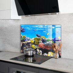 Apsauga nuo purslų stiklo plokštė Koralų rifas Raudonoji jūra, 100x70 cm, įvairių spalvų kaina ir informacija | Virtuvės baldų priedai | pigu.lt