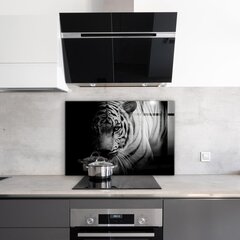 Apsauga nuo purslų stiklo plokštė Baltasis Sibiro tigras, 100x70 cm, įvairių spalvų kaina ir informacija | Virtuvės baldų priedai | pigu.lt