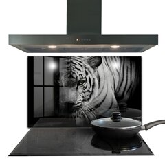 Apsauga nuo purslų stiklo plokštė Baltasis Sibiro tigras, 100x70 cm, įvairių spalvų kaina ir informacija | Virtuvės baldų priedai | pigu.lt