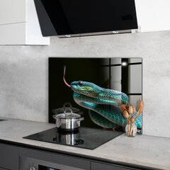 Apsauga nuo purslų stiklo plokštė Gyvatės laukinė gamta, 100x70 cm, įvairių spalvų kaina ir informacija | Virtuvės baldų priedai | pigu.lt