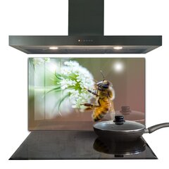 Apsauga nuo purslų stiklo plokštė Bitės renka žiedadulkes, 100x70 cm, įvairių spalvų kaina ir informacija | Virtuvės baldų priedai | pigu.lt