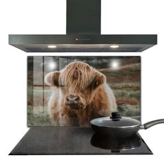 Apsauga nuo purslų stiklo plokštė Highland Cottage Style Cow, 100x70 cm, įvairių spalvų цена и информация | Комплектующие для кухонной мебели | pigu.lt