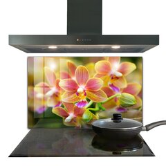 Apsauga nuo purslų stiklo plokštė Oranžinė orchidėja, 100x70 cm, įvairių spalvų kaina ir informacija | Virtuvės baldų priedai | pigu.lt