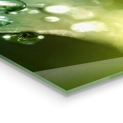 Apsauga nuo purslų stiklo plokštė Rasa ant žalių lapų, 100x70 cm, įvairių spalvų цена и информация | Комплектующие для кухонной мебели | pigu.lt