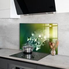 Apsauga nuo purslų stiklo plokštė Rasa ant žalių lapų, 100x70 cm, įvairių spalvų цена и информация | Комплектующие для кухонной мебели | pigu.lt
