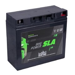 Аккумулятор Intact SLA 22 Ач 230 А 12 В цена и информация | Аккумуляторы | pigu.lt