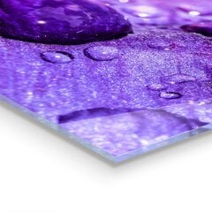 Apsauga nuo purslų stiklo plokštė Violetinė gėlė su ryto rasa, 100x70 cm, įvairių spalvų kaina ir informacija | Virtuvės baldų priedai | pigu.lt