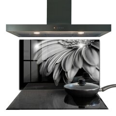 Apsauga nuo purslų stiklo plokštė Gerber juodai balta nuotrauka, 100x70 cm, įvairių spalvų цена и информация | Комплектующие для кухонной мебели | pigu.lt