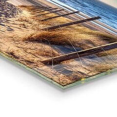 Apsauga nuo purslų stiklo plokštė Smėlio kopos prie Baltijos jūros, 100x70 cm, įvairių spalvų цена и информация | Комплектующие для кухонной мебели | pigu.lt