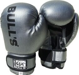 Боксерские перчатки BULLS серые цена и информация | Sportera Спорт, досуг, туризм | pigu.lt