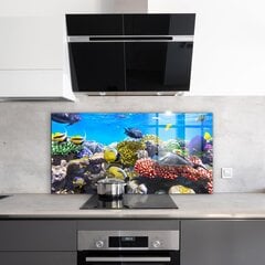 Apsauga nuo purslų stiklo plokštė Koralų rifas Raudonoji jūra, 120x60 cm, įvairių spalvų kaina ir informacija | Virtuvės baldų priedai | pigu.lt